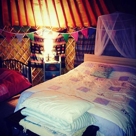 Galway Glamping Tuam Ngoại thất bức ảnh