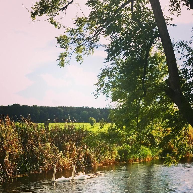 Galway Glamping Tuam Ngoại thất bức ảnh