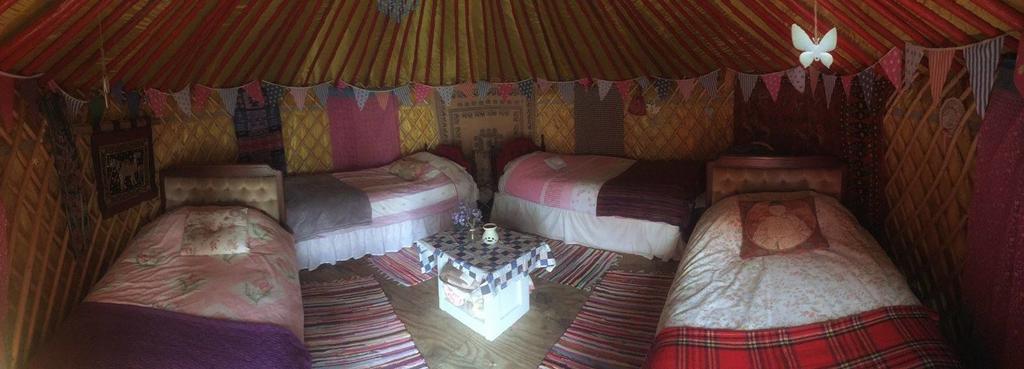 Galway Glamping Tuam Ngoại thất bức ảnh
